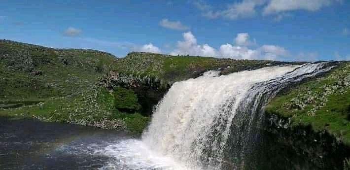 Wildlife Tour in Bale Mountains